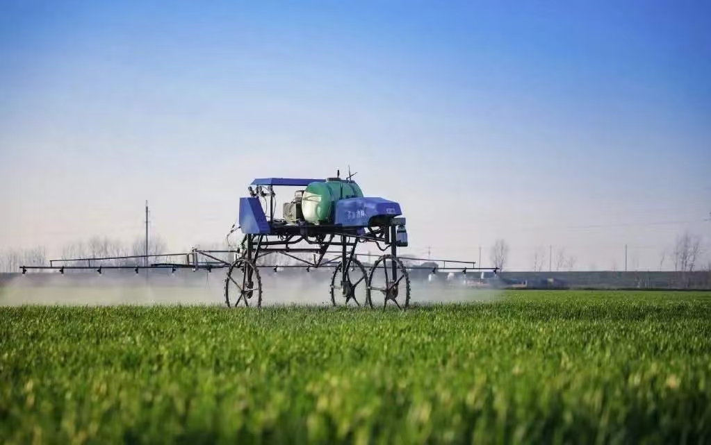 丰收进万家 | “皖”满优粮 看八零后种植能手如何成为“禾”伙人