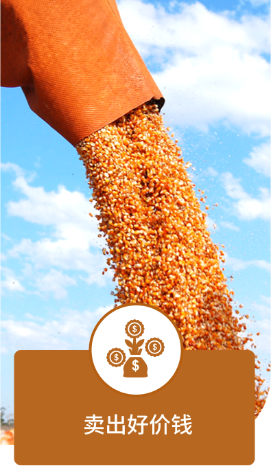 卖出好价钱