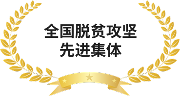 全国脱贫攻坚先进集体